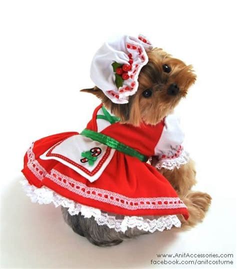 Candy Cane Dog Costume Pet Costume Center