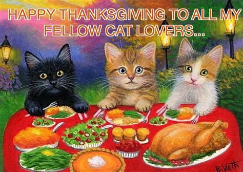 pin by pamela medina on kitty cats cat love happy thanksgiving cat lovers