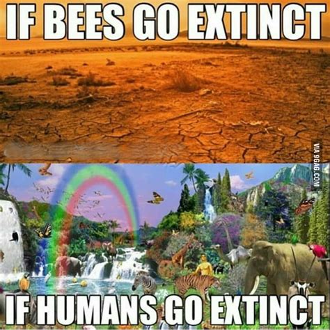Humanity Is Awesome 9gag