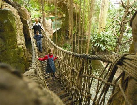 Omaha's Henry Doorly Zoo up for national recognition