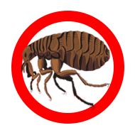 Find opening hours and closing hours from the pest control category in miami, fl and other contact details such as address, phone number, website. Pest Control Miami, FL | Pest Control Services