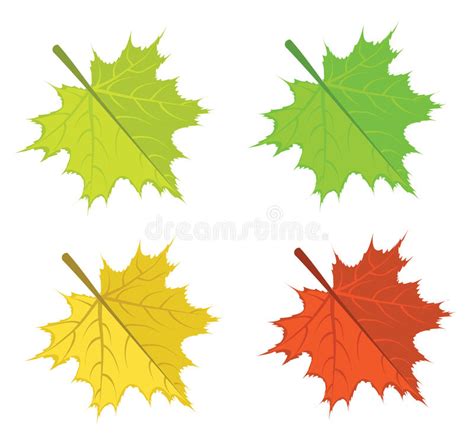 Maple Leaf Vector Icons Stock Vector Illustration Of Shape 20830464