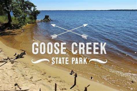 Exploring Goose Creek State Park And Dinahs Landing Kayak Launch