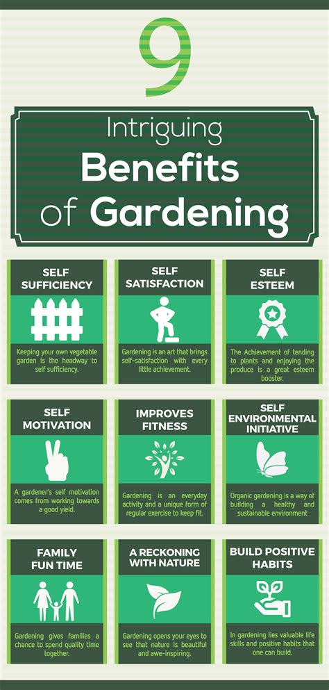 Intriguing Benefits Of Gardening
