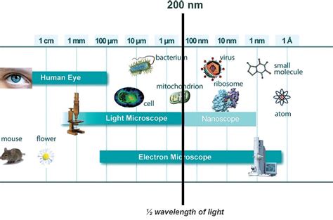 Microscopy Overview Principles And Its Types Microbiology Notes