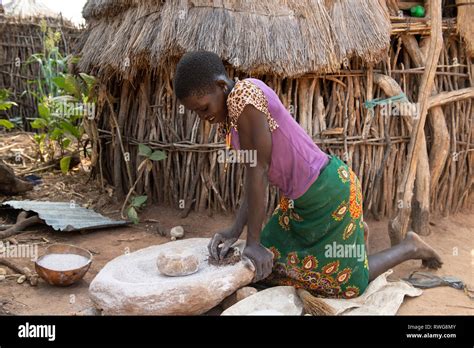 Karamojong Woman Grinding Sorghum Karamojong Village Northern Uganda