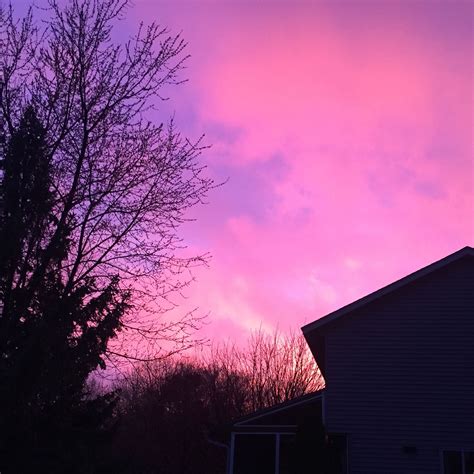 Backyard Sunset Pink