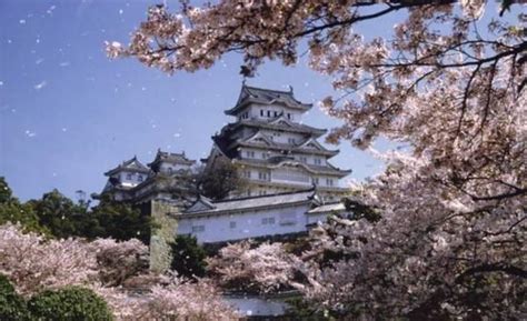 日本樱花前线 2017日本赏樱时间和地点全攻略！！特别全！！ 知乎