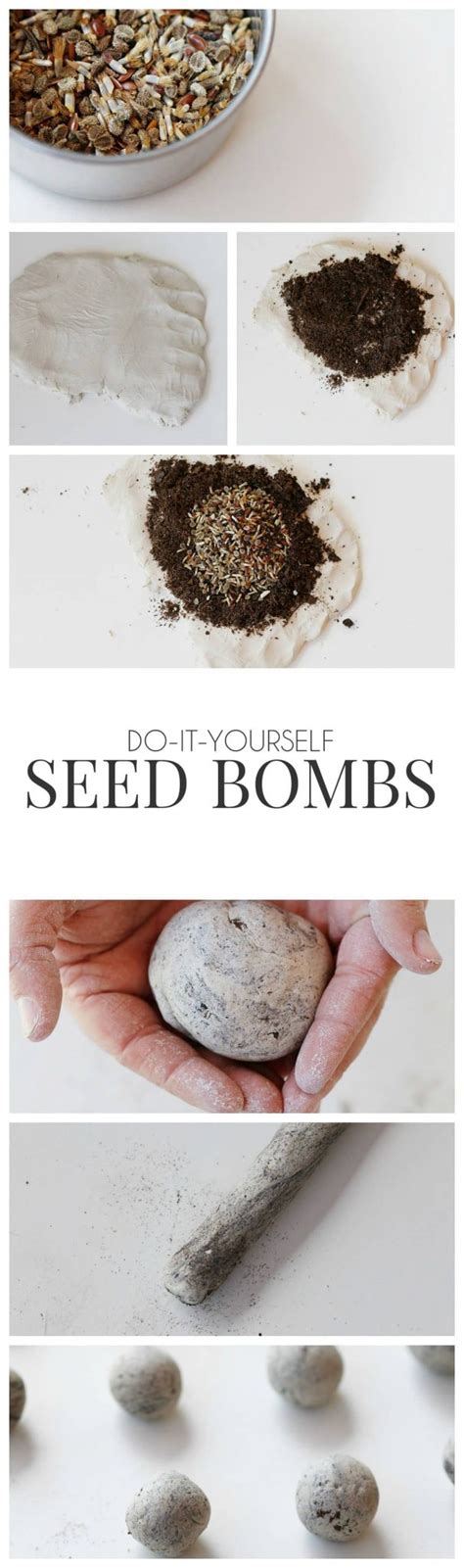 Diy Seed Bombs Recipe An Easy Garden Hack Birds Eye Meeple