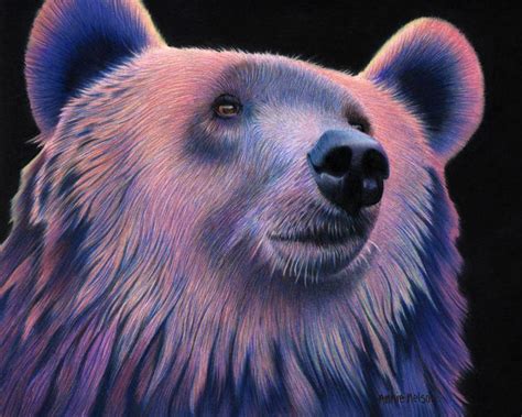 Grizzly Bear Annies Colored Pencil Art Paintings And Prints Animals