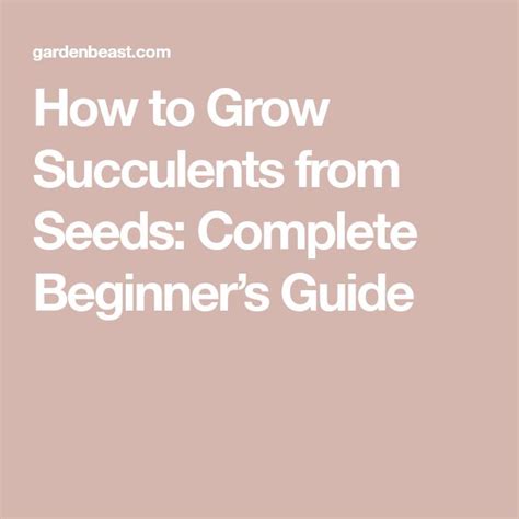 How To Grow Succulents From Seeds Complete Beginners Guide