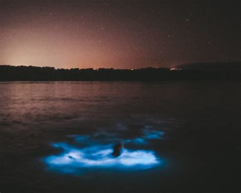 15 Best Places To See Bioluminescence Around The World A Nomads Passport
