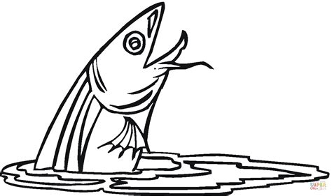 Catfish 2 coloring page | Free Printable Coloring Pages