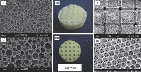 3d Printed Scaffolds In Breast Reconstruction