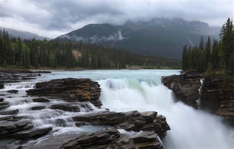 Обои лес горы река водопад Канада Альберта Alberta Canada