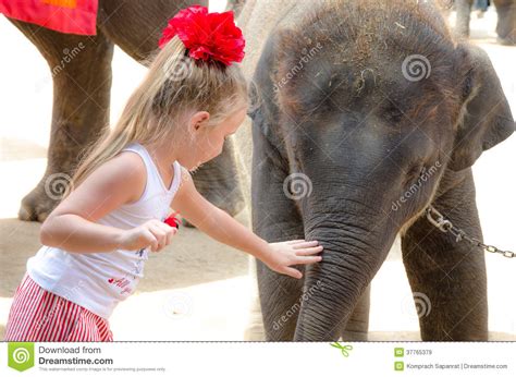 Pattaya Thailand Little Girl And Little Elephant