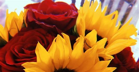 Maybe you would like to learn more about one of these? Wallpaper Aesthetic Sunflowers And Roses - PetsWall