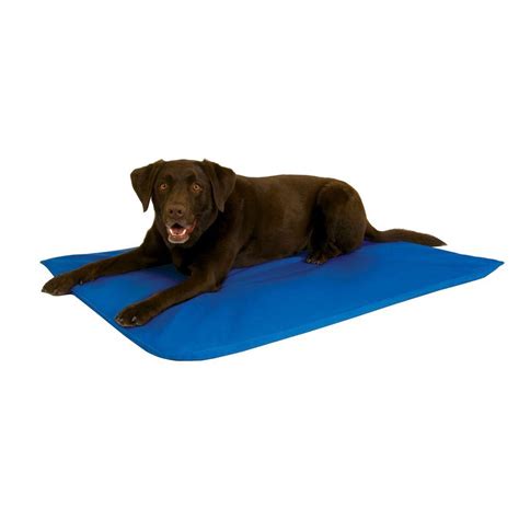 They can be used stand alone or placed on a pet's bed. K&H Pet Products Cool Bed III Large Blue Cooling Dog Bed ...