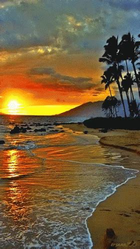 Sea Beach GIF Sea Beach Nature Descubre Comparte GIFs