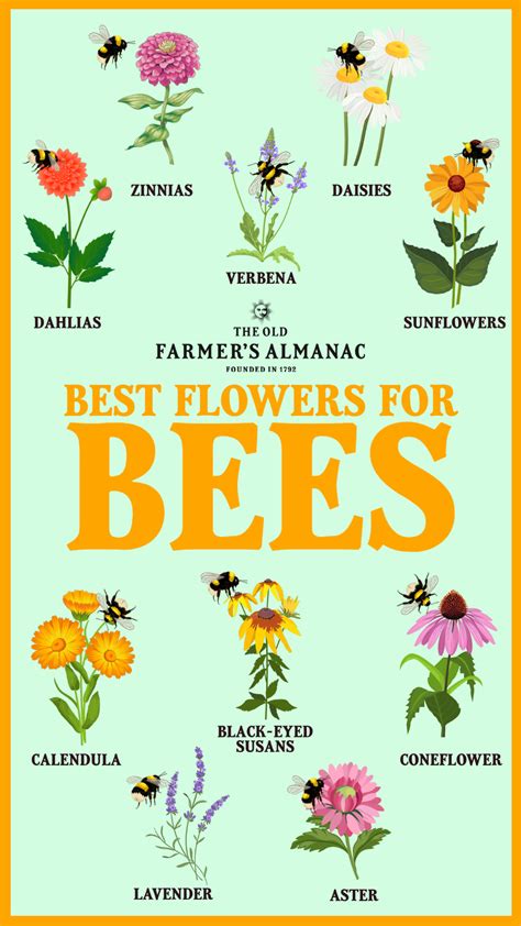 Best Flowers For Bees Artofit