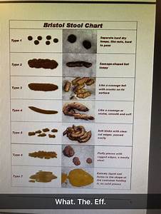 This Fantastically Accurate Bristol Stool Chart R Nursing