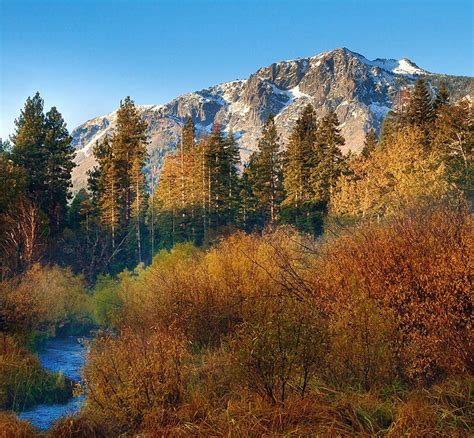 Dont Miss The Incredible Lake Tahoe Fall Colors And Activities