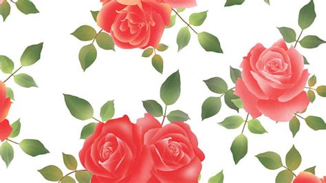 Red Rose Flowers Floral Floral Hd Wallpaper Peakpx