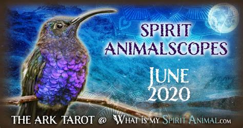 Spirit Animalscopes For June 2020 What Is My Spirit Totem And Power