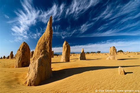 The Pinnacles Desert Nambung National Park Western Australia