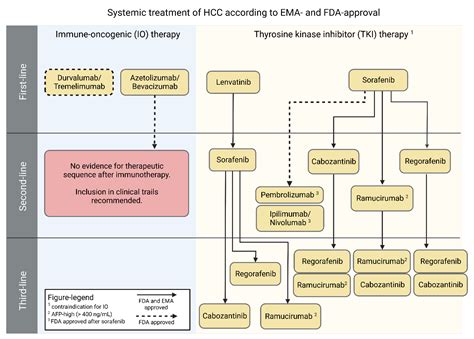 Biomedicines Free Full Text Pathogenesis And Current Treatment