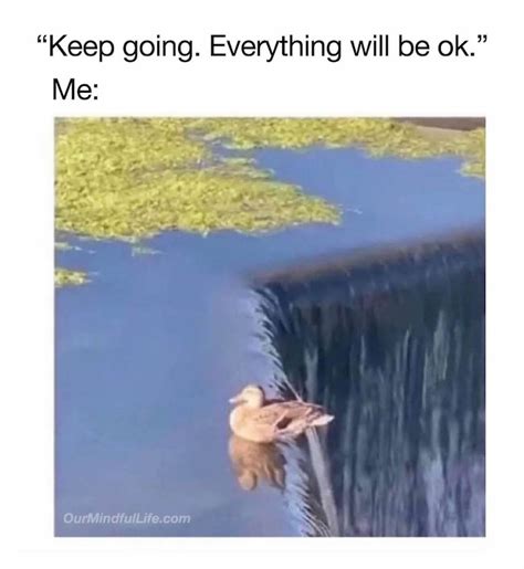 22 Toxic Positivity Memes To Make You Think And Laugh Our Mindful Life