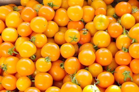 Orange Cherry Tomatoes Stock Image Image Of Vegetables 21095641