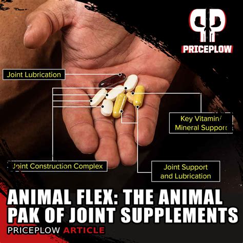 Animal Flex The Animal Pak Of Joint Supplements The Priceplow Blog