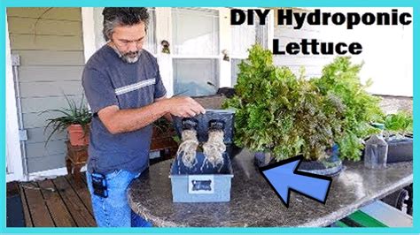 Hydroponic Lettuce Tower Diy Aquaponic Vertical Gardens For Smaller