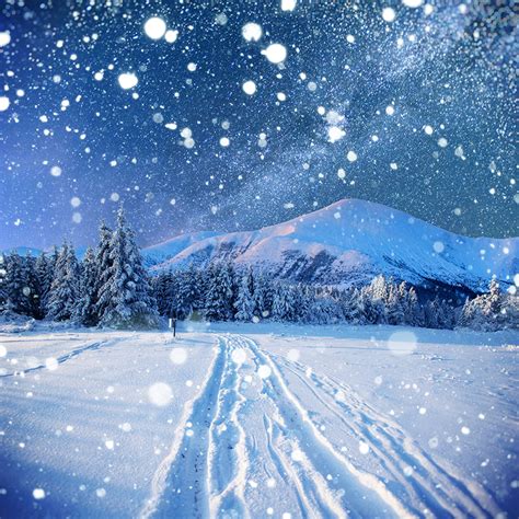 Winter Highlights Snow Scene Flakes Deep Sky Background Etsy