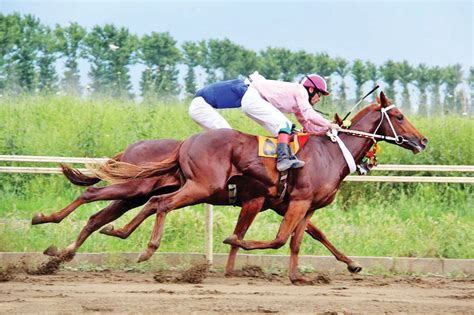 Spring Horse Racing Competition Held In Gonbad E Kavus Tehran Times