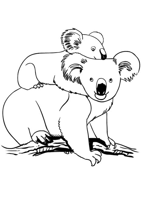 Dibujos De Koala Para Colorear