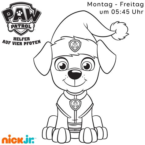 As páginas para colorir mandalas de animais são uma ótima maneira de aprimorar sua meditação. Paw Patrol Gewinnspiel - Nick.ch | Ideias, Riscos