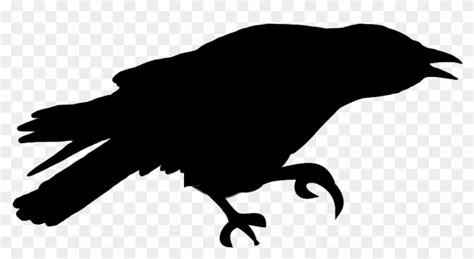 Crow Silhouette Png Download Silhouette Free Transparent Png