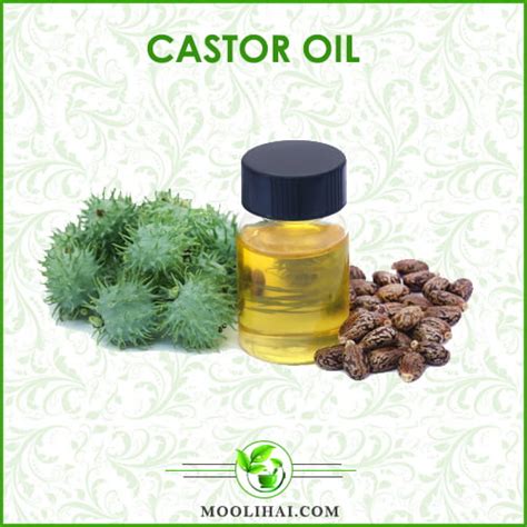Unbelievable Health Benefits Of Castor Oil