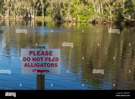 Warning Sign Please Do Not Feed Alligators Stock Photo Alamy