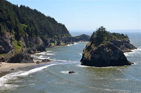 Edupic Coastal Biomes And Habitats