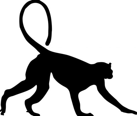 Silhouette Of A Monkey Free Stock Photo Public Domain Pictures