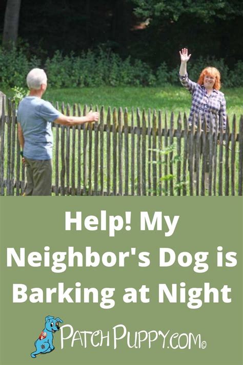 Help My Neighbors Dog Is Barking At Night In 2021