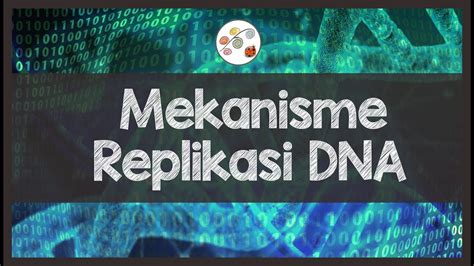 Proses Replikasi DNA Proses Duplikasi Atau Penggandaan DNA YouTube
