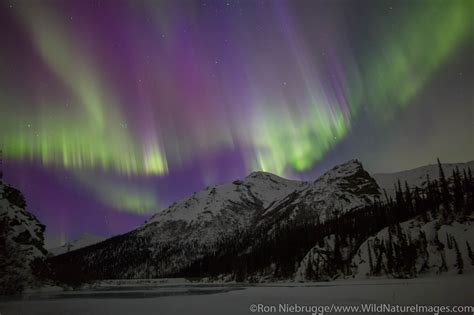 Aurora Borealis Brooks Range Alaska Photos By Ron Niebrugge