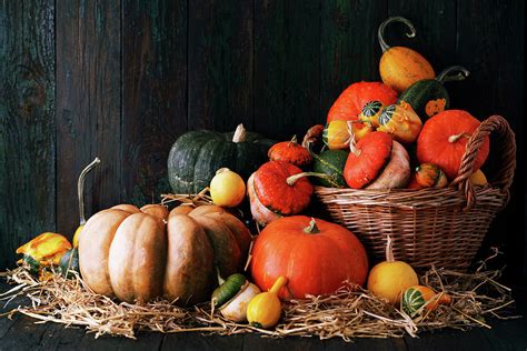 Pumpkin Harvest By Iuliia Malivanchuk Photograph By Iuliia Malivanchuk