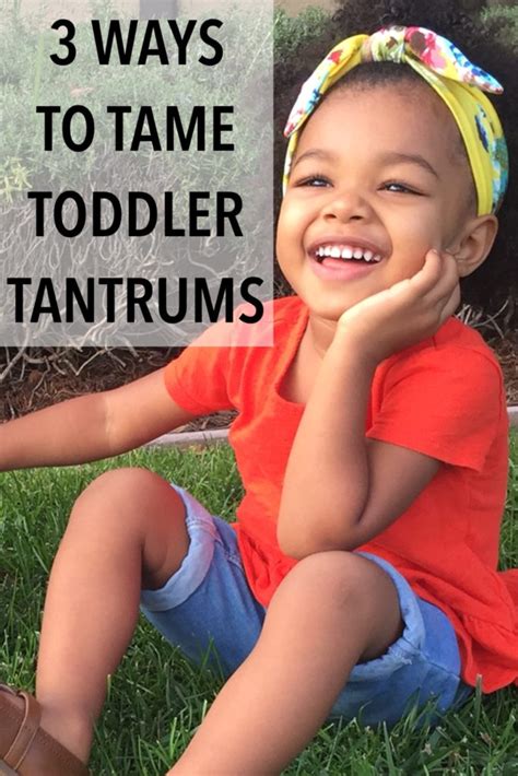 3 Ways To Tame Toddler Tantrums The Cinnamon Mom