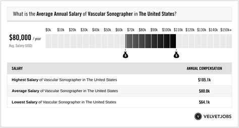 Vascular Sonographer Salary Actual 2023 Projected 2024 Velvetjobs