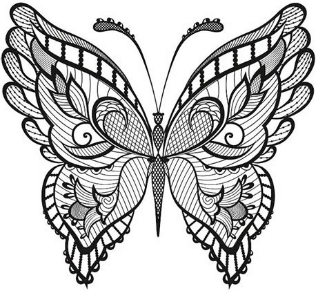 Adult Coloring Sheets Butterfly Coloring Pages